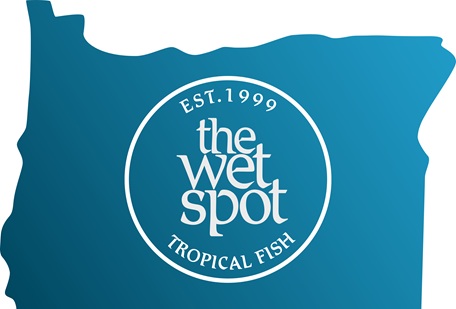 WS Oregon logo sm website