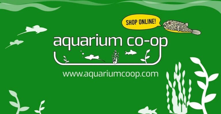 Aquarium Co-Op
